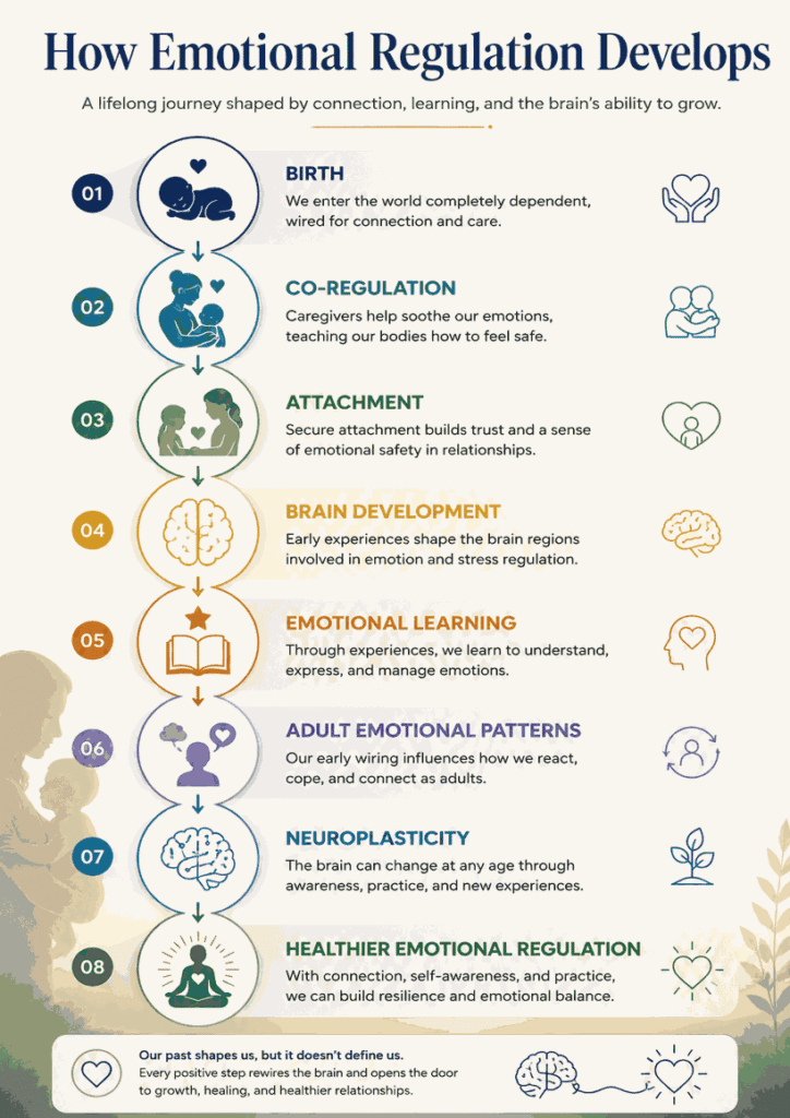 How Childhood Shapes Emotional Regulation infographic illustrating the stages of emotional development from infancy to adulthood.