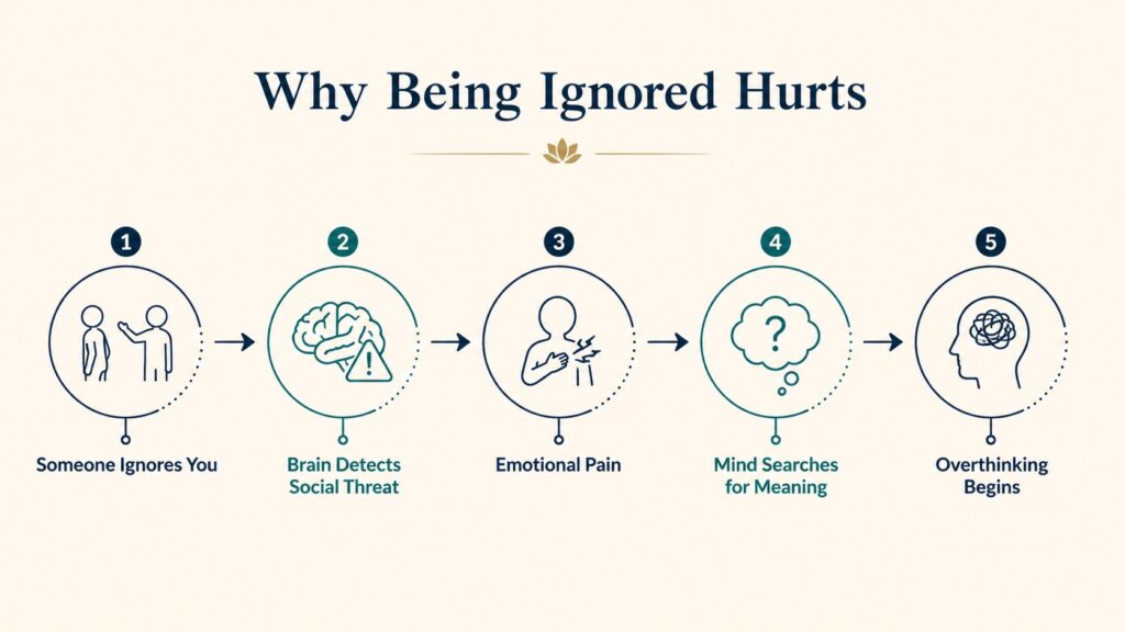 Infographic showing why being ignored hurts and triggers social threat, emotional pain, the search for meaning, and overthinking.