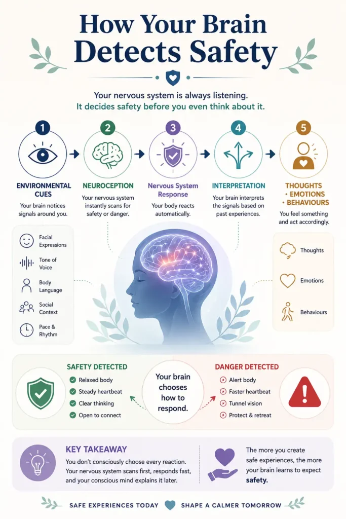 Infographic explaining how the brain detects emotional safety through sensory cues, body signals, emotional memory, social connection, and the prefrontal cortex.