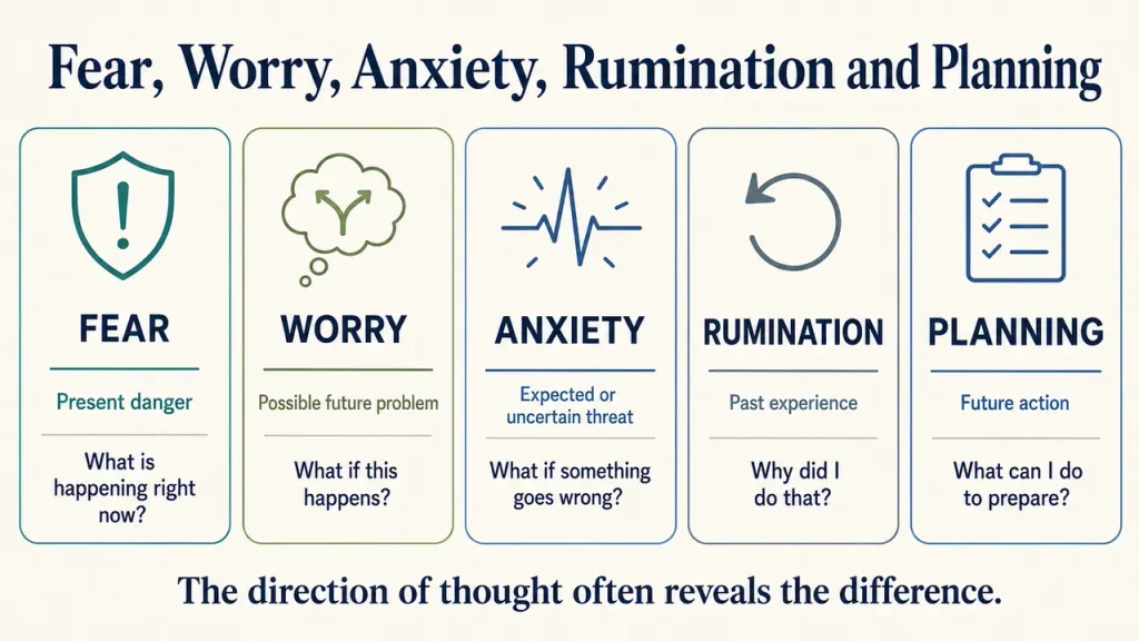 Comparison of fear, future worry, anxiety, rumination and helpful planning